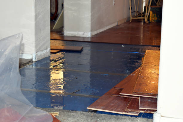 Professional Flood Damage Restoration technician working in Harmon, IL
